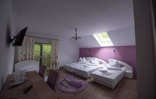 Гостевой дом Dupa apa la Razvan Сигету-Мармацией Двухместный номер с 1 кроватью или 2 отдельными кроватями и балконом-28